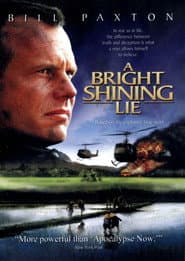 A Bright Shining Lie