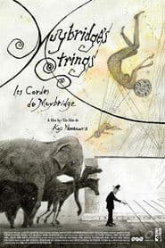 マイブリッジの糸