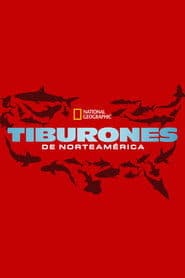 United Sharks of America