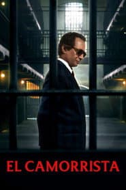 Il camorrista - Una serie di Giuseppe Tornatore