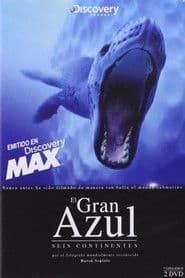 The Magic of the Big Blue. Seven Continents