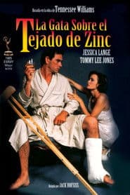 Cat on a Hot Tin Roof