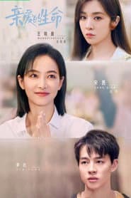 亲爱的生命