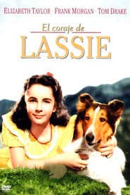 El valor de Lassie