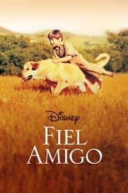 Su más fiel amigo