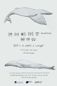 Dust is a Whale, is Sunlight