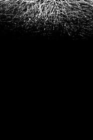 Sapagkat sa Aking Pag-iisip, Mayroong Bigat na Ayaw Kong Ikaw ang Magpasan