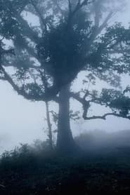 สัตว์วิกาล