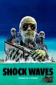 Shock Waves