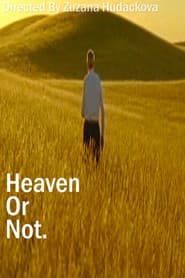 Heaven Or Not