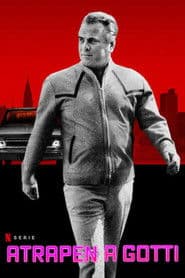 Atrapen A Gotti