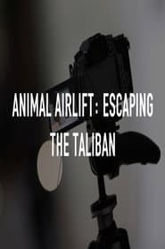 Animal Airlift: Escaping the Taliban