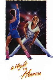 A Night In Heaven