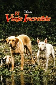 Un viaje increíble