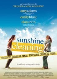 Sunshine Cleaning