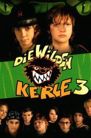 Die Wilden Kerle 3