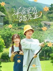 洋房里的猫先生