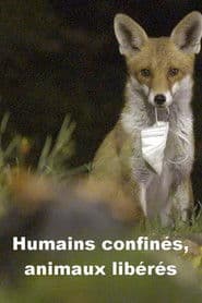 Menschen eingesperrt, Tiere befreit