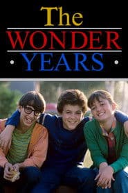 Los años maravillosos