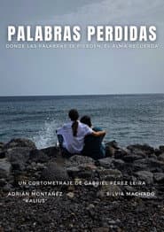 Palabras Perdidas