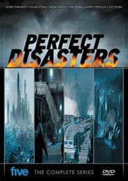 Perfect Disaster