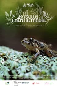 El bosque entre la niebla