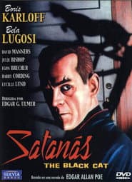 El gato negro