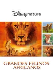 Felinos de África