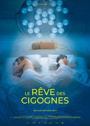 Le rêve des cigognes