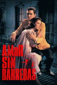 Amor sin barreras