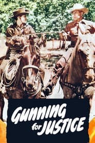 Gunning for Justice