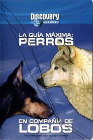 The Ultimate Guide - Dogs