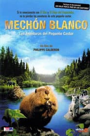 Mèche Blanche, les aventures du petit castor