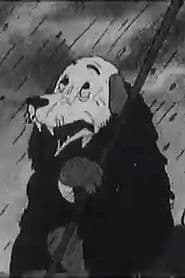 Շունն ու կատուն