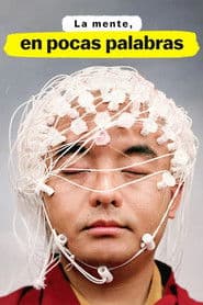 La mente, en pocas palabras