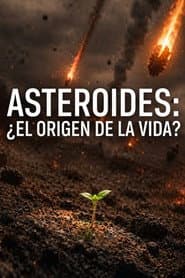 Asteroids: The Spark of Life?