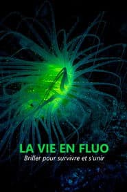 La vie en fluo