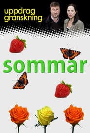 Uppdrag granskning sommar