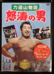 力道山物語 怒涛の男