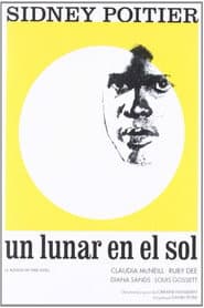 A Raisin in the Sun