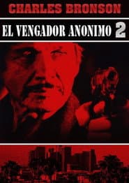 El vengador anónimo 2