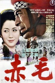 赤毛