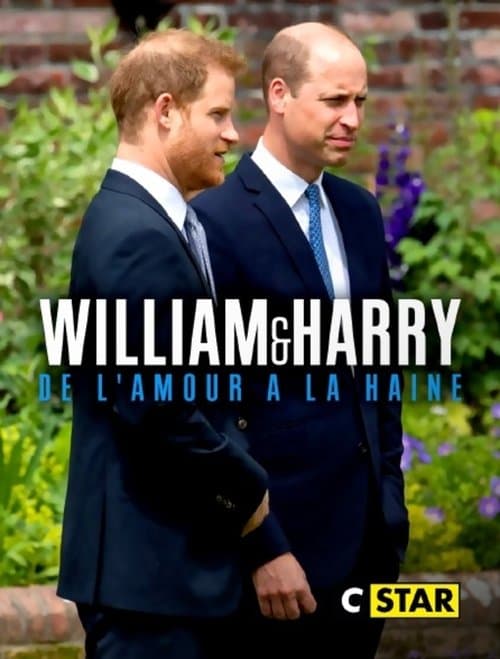 William et Harry : de l'amour à la haine