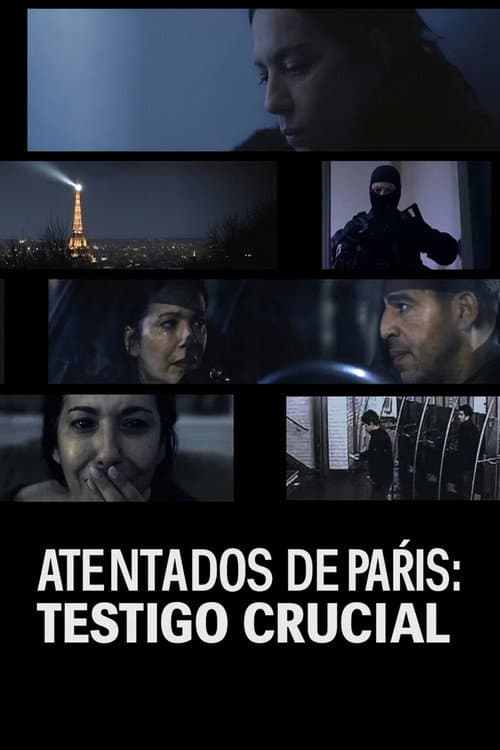 13 novembre, le choix de Sonia