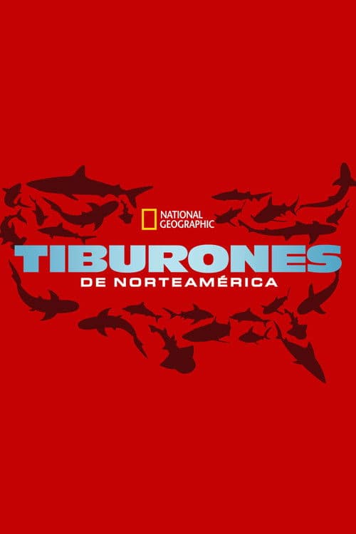 United Sharks of America