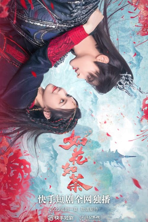 如花如荼
