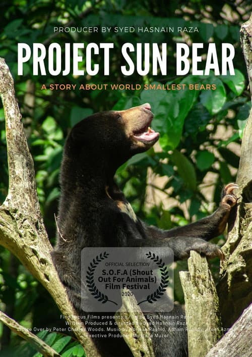 Project Sun Bear