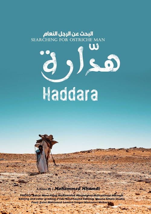 Searching for Ostrich Man Haddara