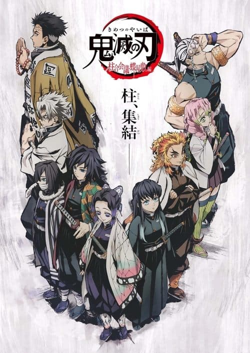 Demon Slayer Kimetsu no Yaiba The Hashira Meeting Arc