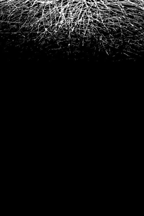 Sapagkat sa Aking Pag-iisip, Mayroong Bigat na Ayaw Kong Ikaw ang Magpasan